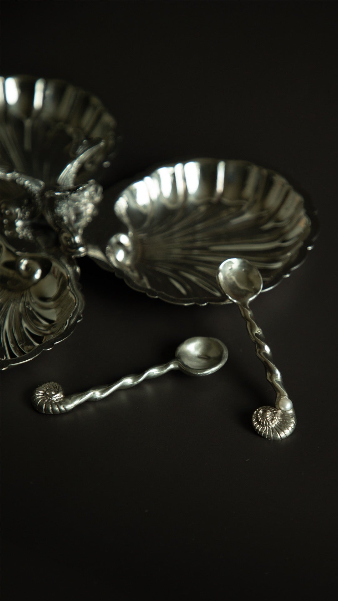 Nautilus Salt Spoon Pair