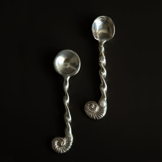 Nautilus Salt Spoon Pair